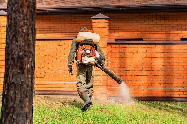 Trusted Cockroach Control service in Black River, NY - Nex Pest Control